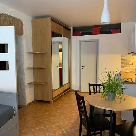 Old Studio Apartment 维尔纽斯 外观 照片