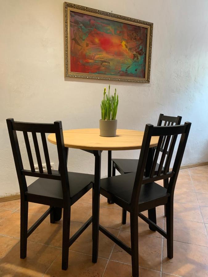 Old Studio Apartment 维尔纽斯 外观 照片