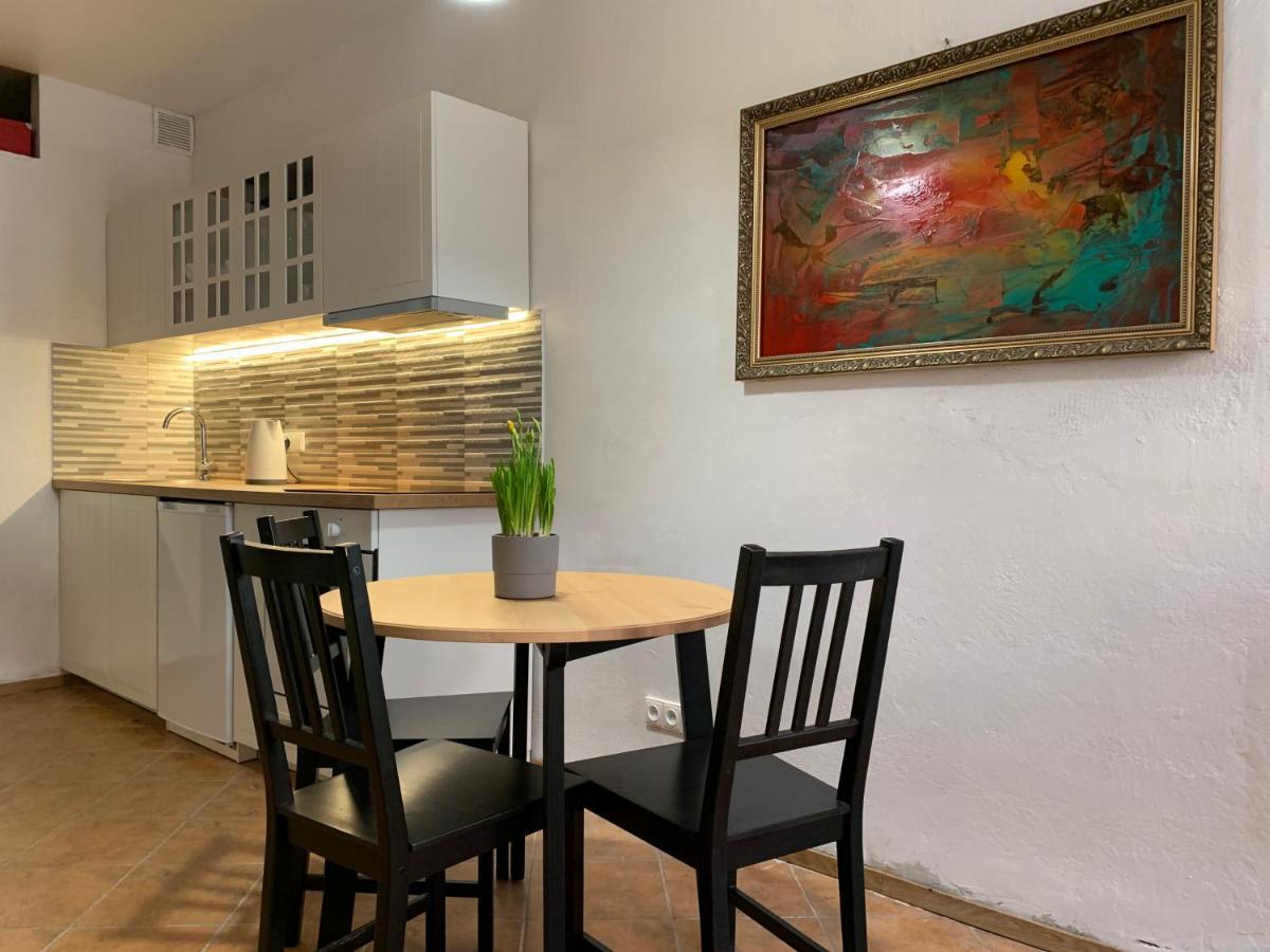 Old Studio Apartment 维尔纽斯 外观 照片