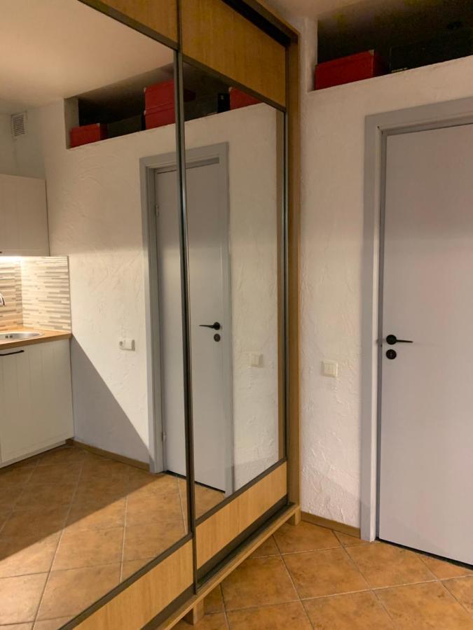 Old Studio Apartment 维尔纽斯 外观 照片