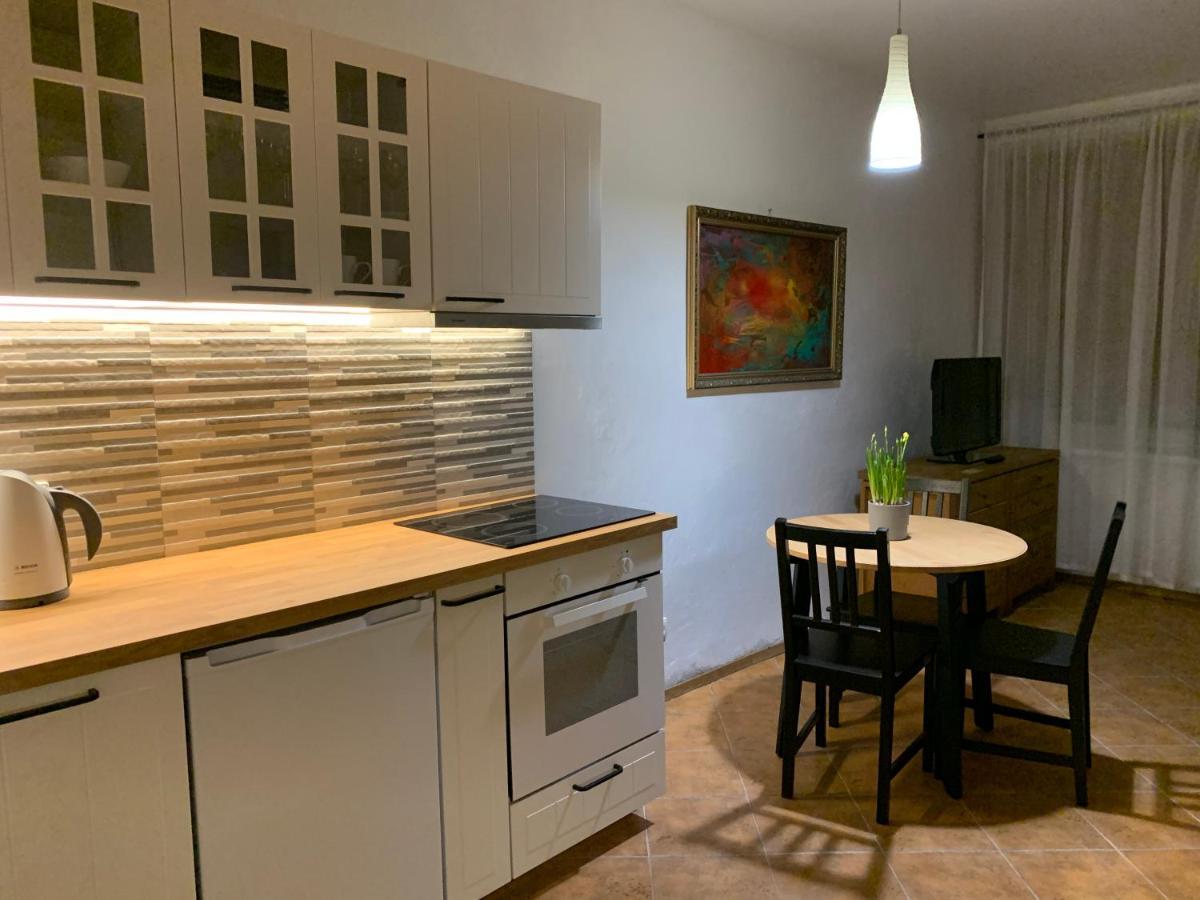 Old Studio Apartment 维尔纽斯 外观 照片