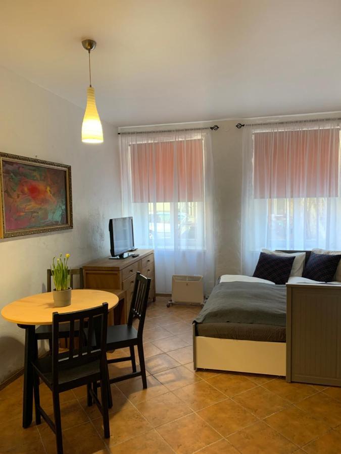 Old Studio Apartment 维尔纽斯 外观 照片
