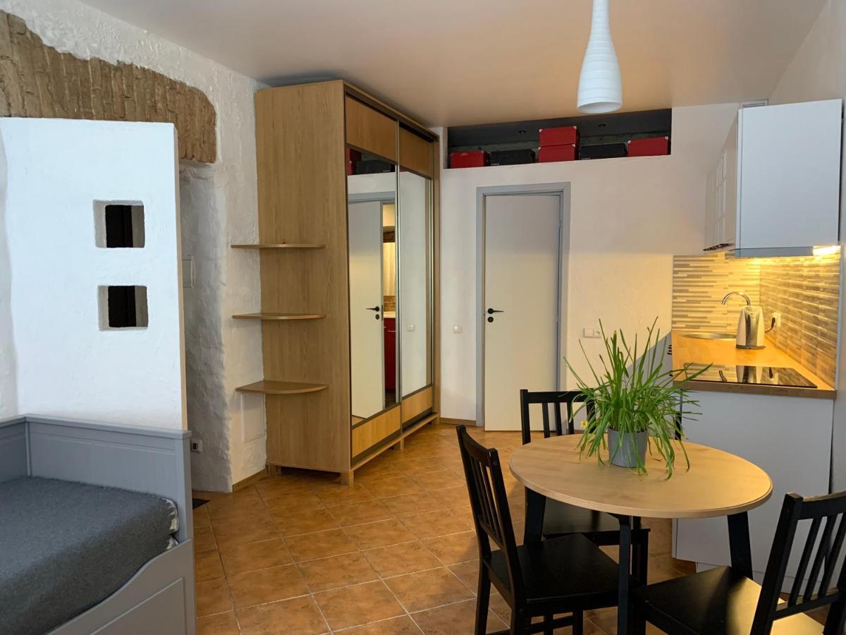 Old Studio Apartment 维尔纽斯 外观 照片