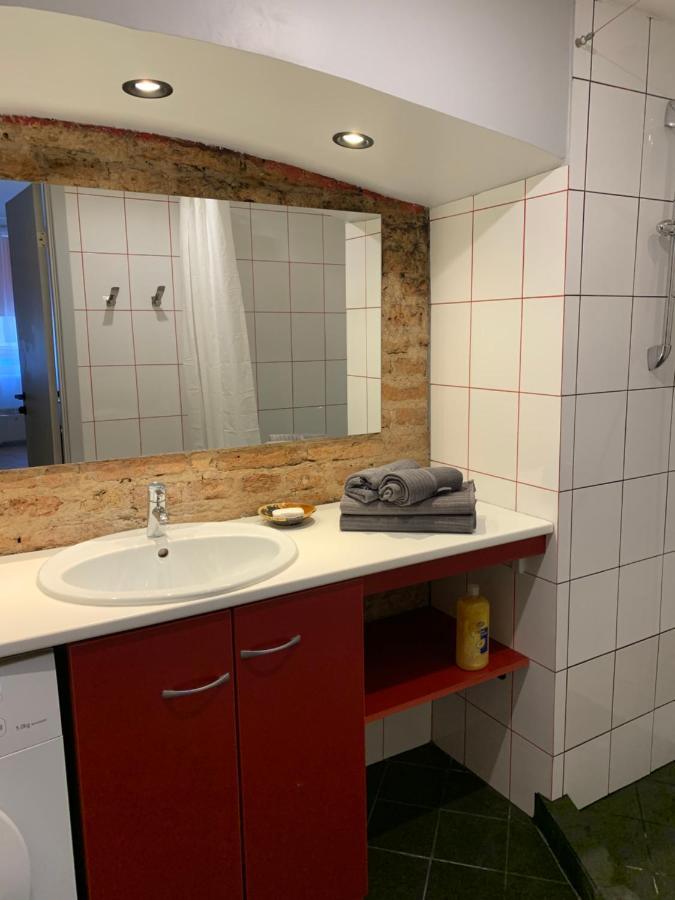 Old Studio Apartment 维尔纽斯 外观 照片