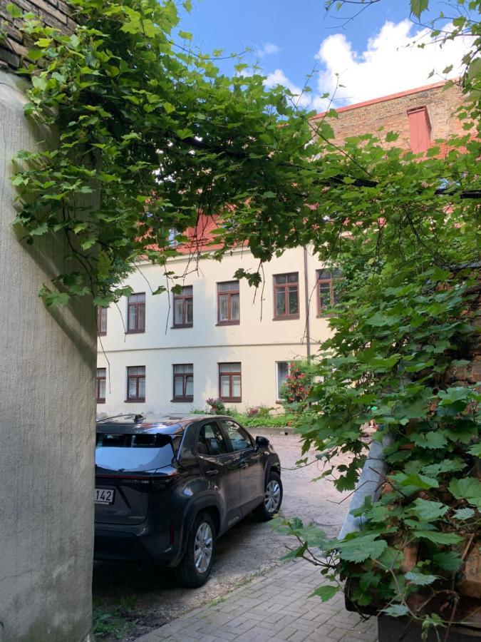 Old Studio Apartment 维尔纽斯 外观 照片