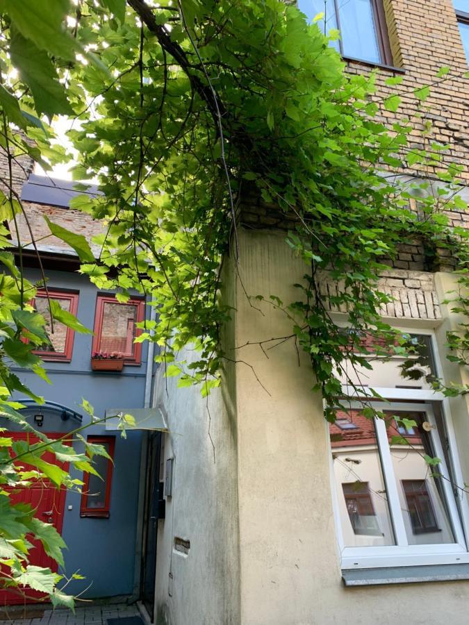 Old Studio Apartment 维尔纽斯 外观 照片