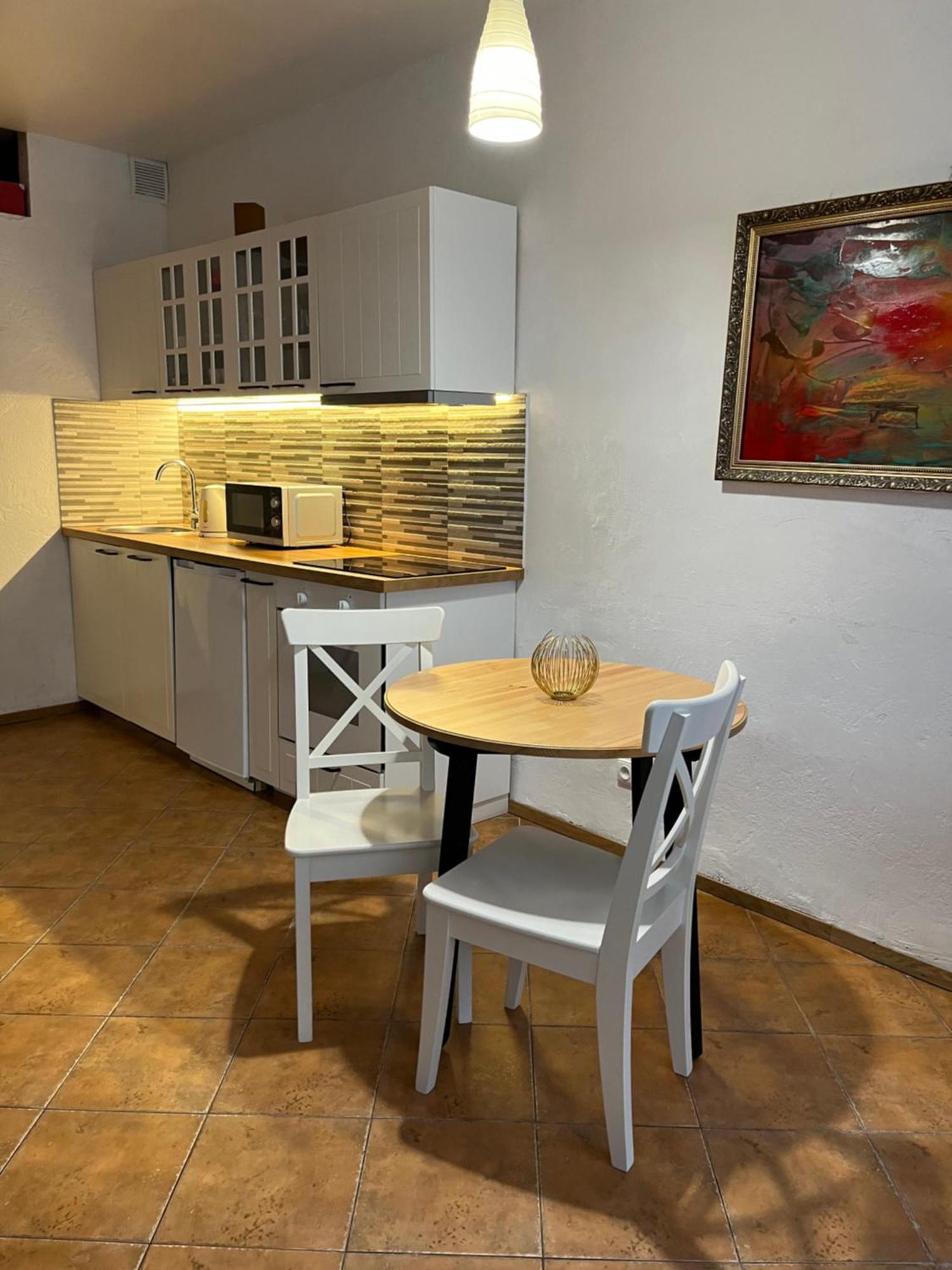 Old Studio Apartment 维尔纽斯 外观 照片